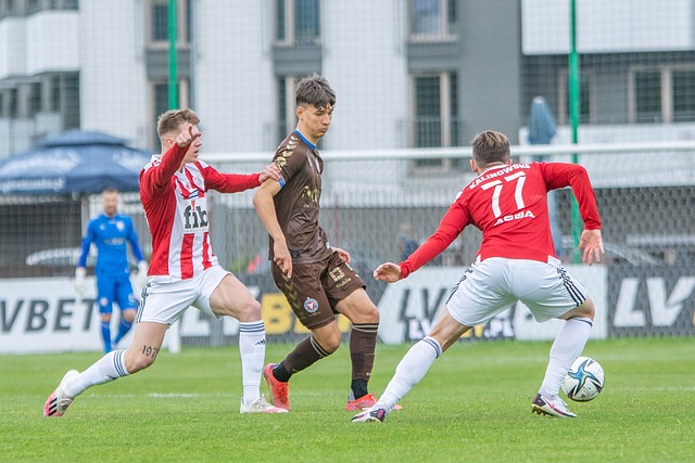 仍将是最大 仍将是最大