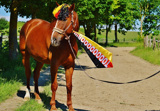 赛之路上取 赛之路上取