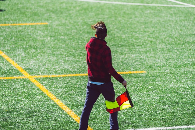 种类型的球 种类型的球