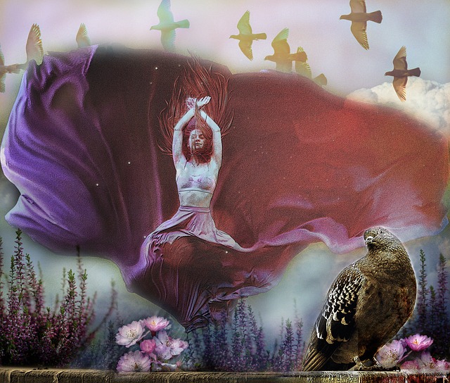 的得分手 的得分手