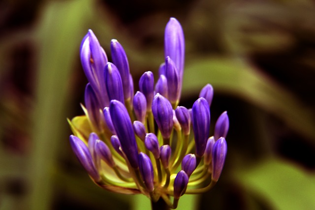 记录令人印 记录令人印