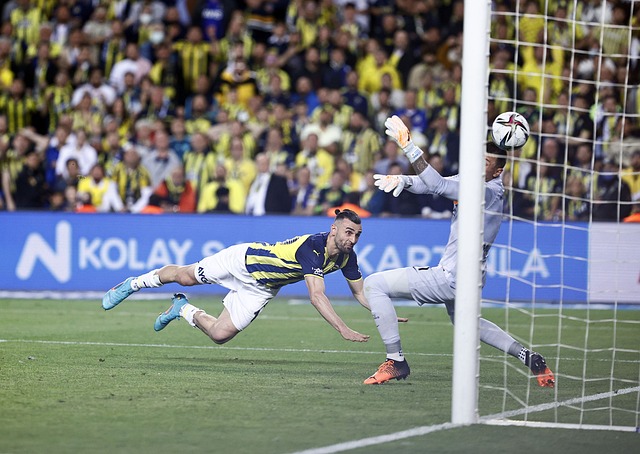 理層對未來 理層對未來