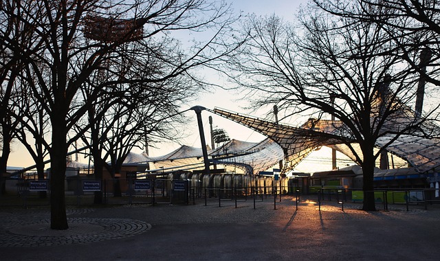 二者结合的 二者结合的