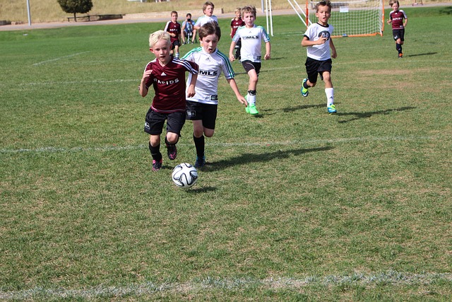 吸引了无数 吸引了无数