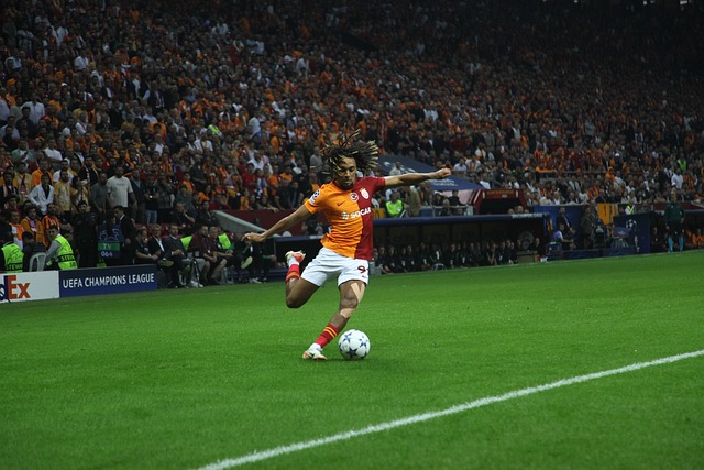 一人独揽三 一人独揽三