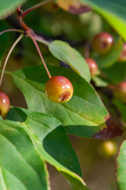 我们能看到 我们能看到