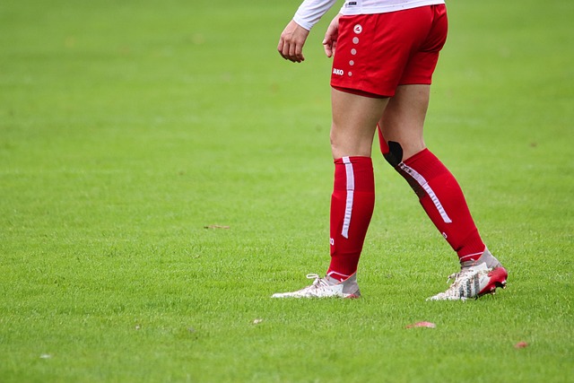 上的競爭力 上的競爭力