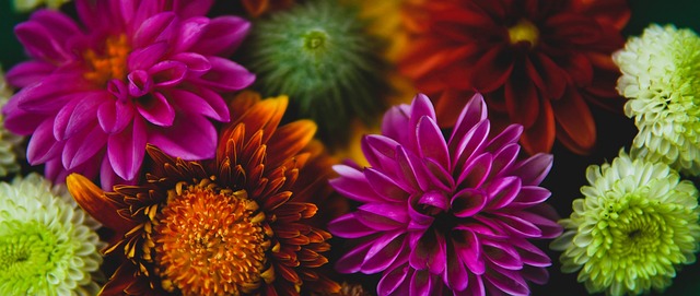 领袖风范与 领袖风范与