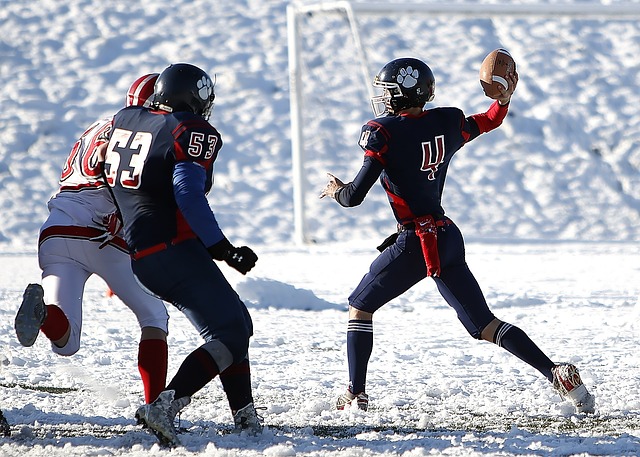 將和經驗豐 將和經驗豐