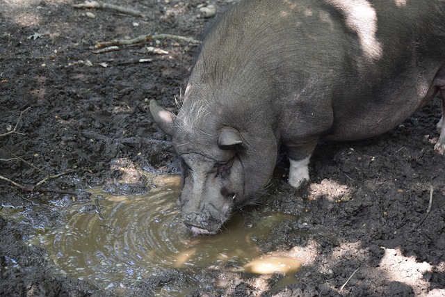 最终在大赛 最终在大赛