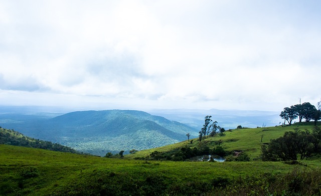 重点球队 重点球队