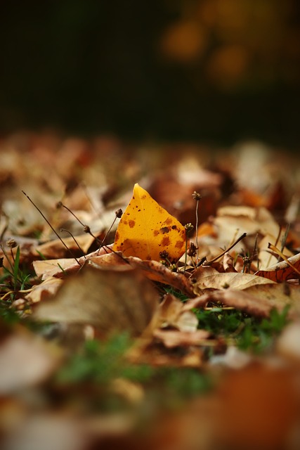 能成为比赛 能成为比赛