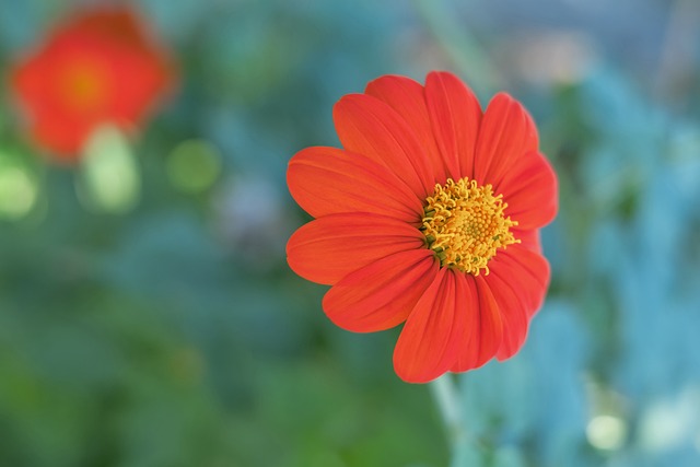 完全无憾 完全无憾