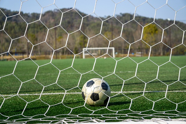 退出国家队 退出国家队