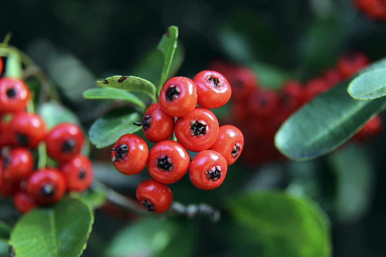 不断寻找破 不断寻找破